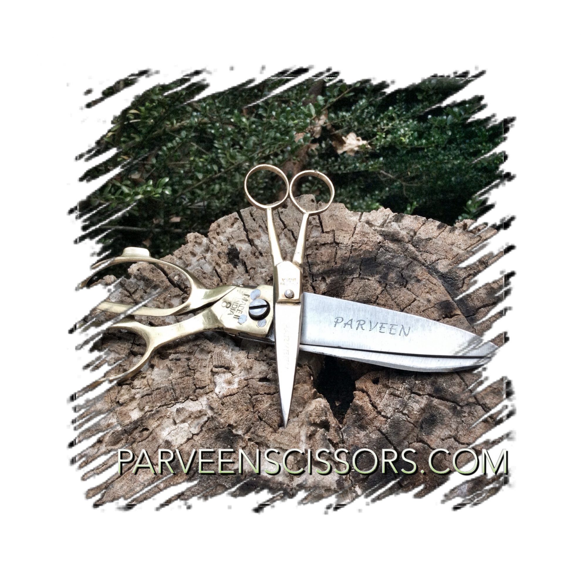 Parveen Scissors Hand Parveen Scissors