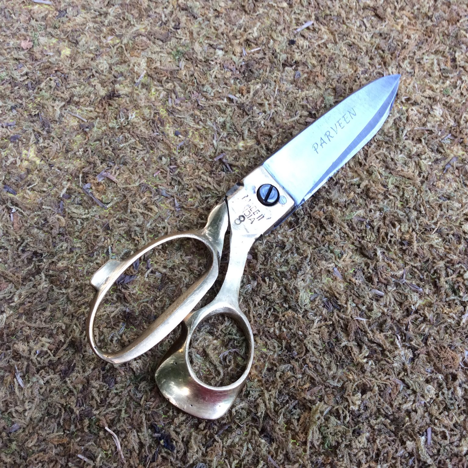 Parveen Scissors Hand Parveen Scissors